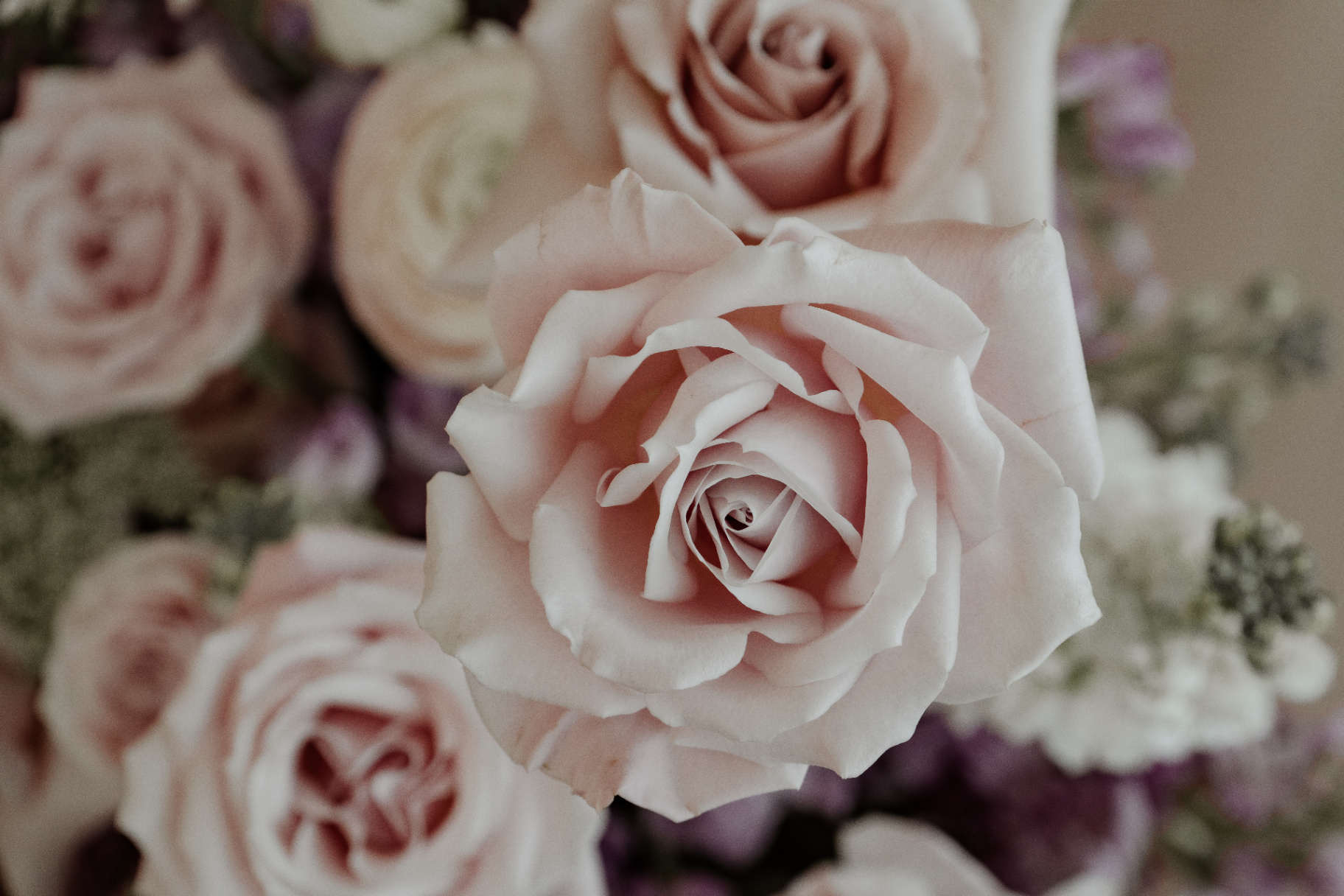 Blush rose bouquet close-up