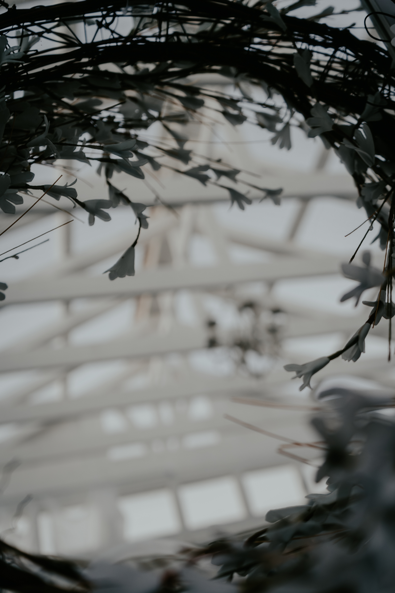 Dried floral wreath framing the glasshouse ceiling