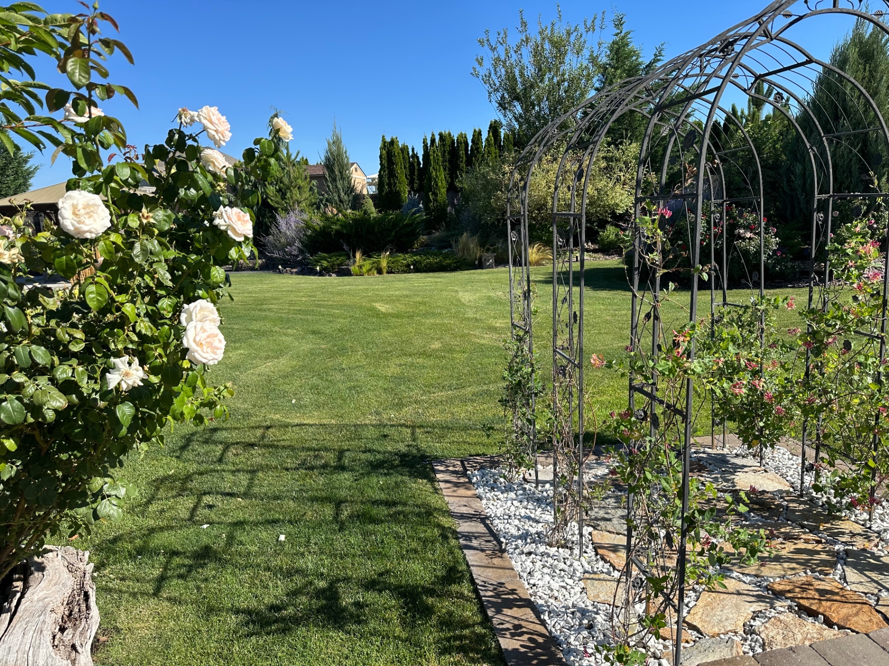 Glam Studios + Glasshouse + Glam Garden