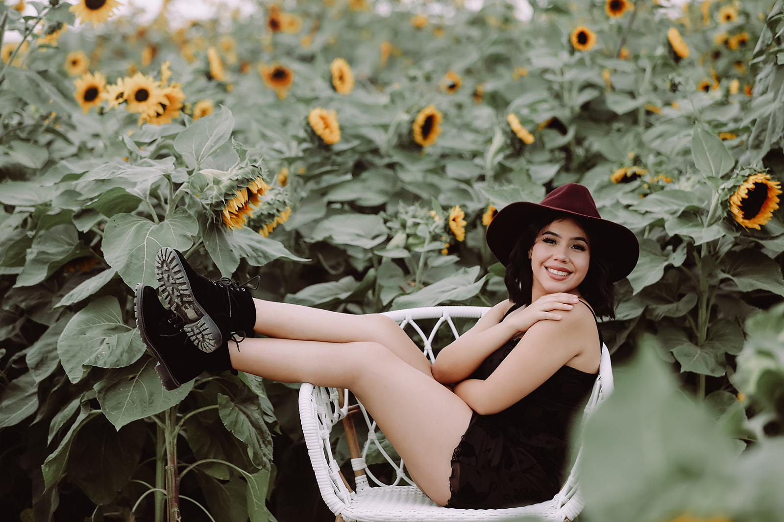 A single sunflower in full bloom at golden hour