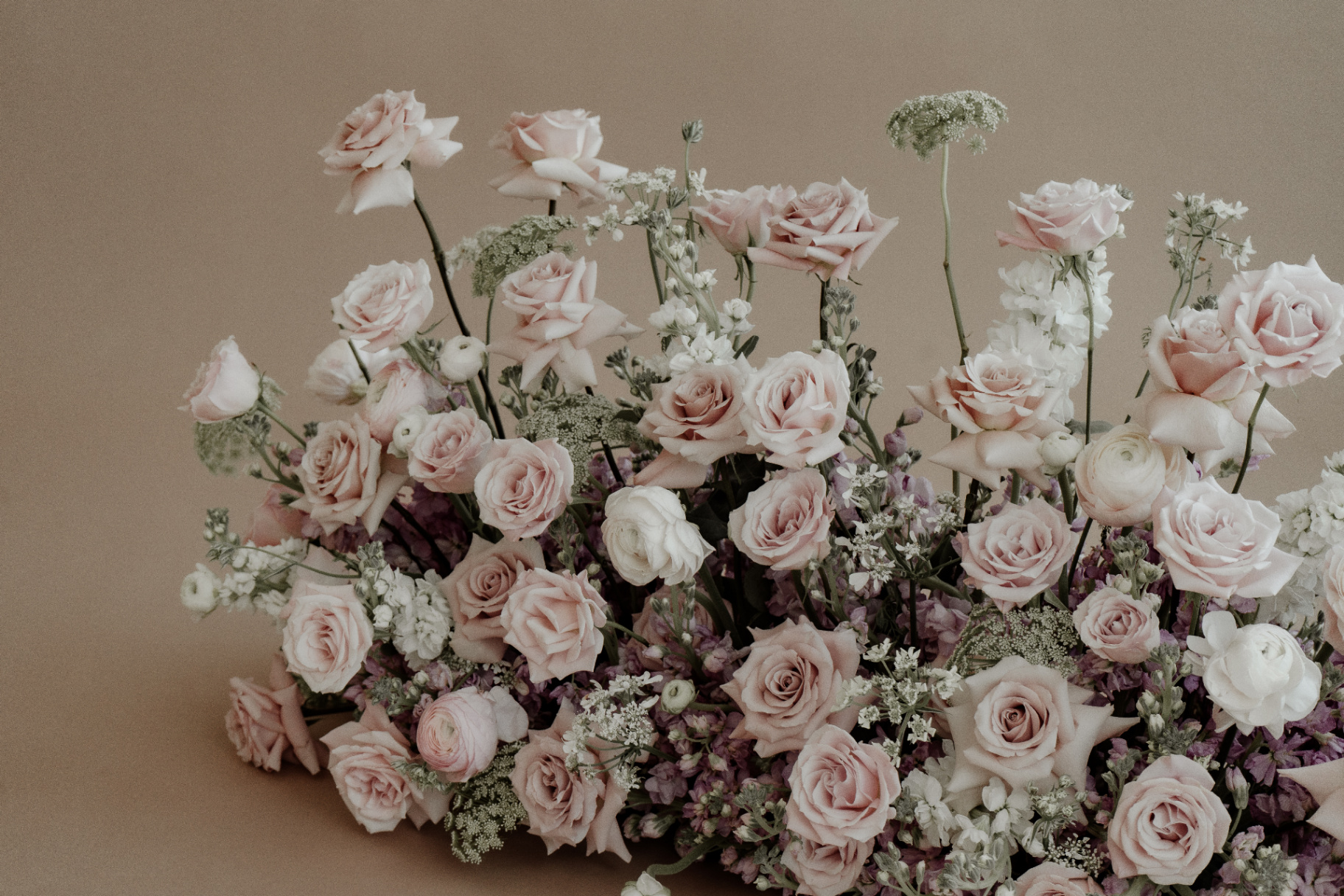 Editorial floral arrangement on warm backdrop