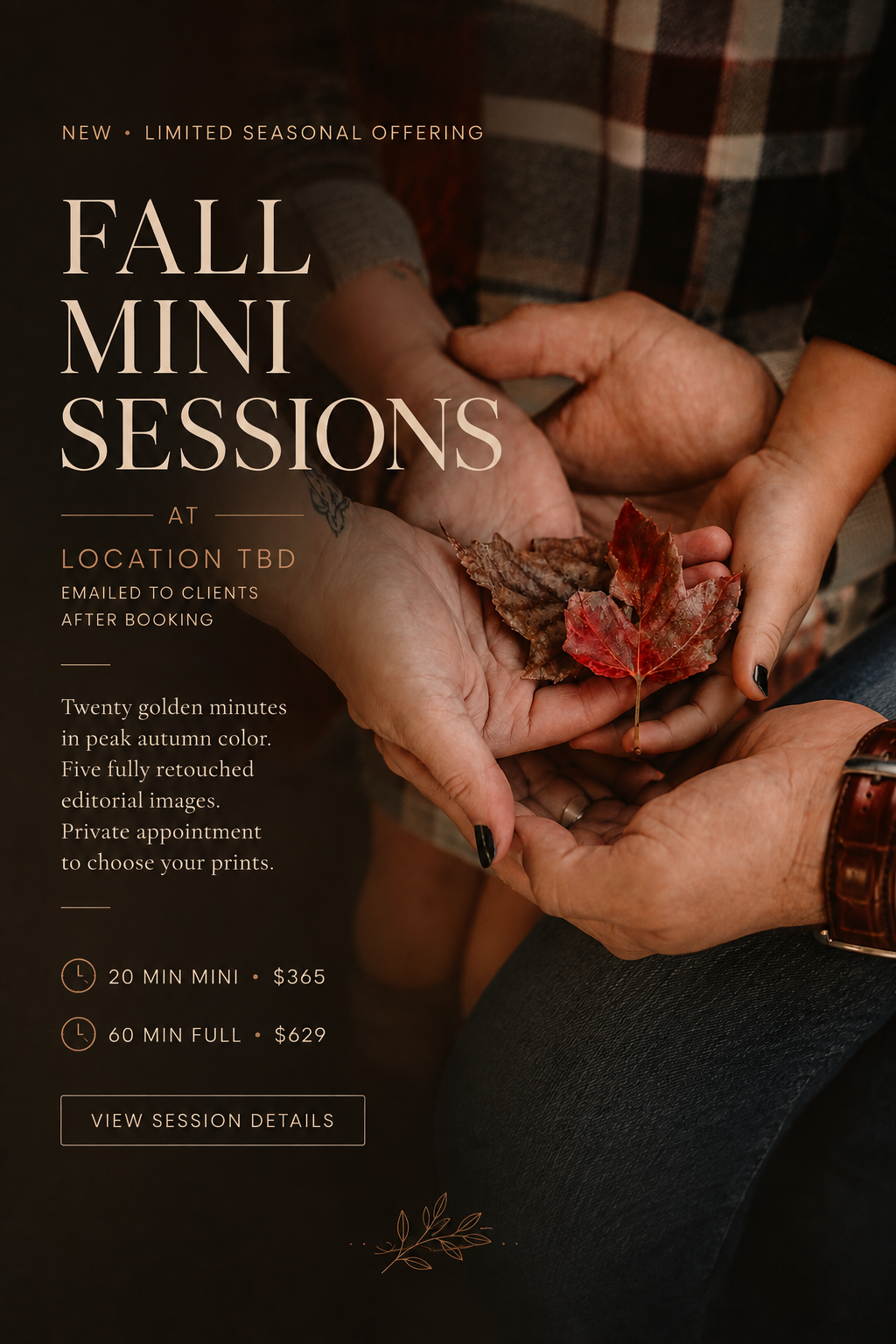 Fall Mini Sessions — 20 minute mini $365, 60 minute full session $629, location emailed to clients after booking